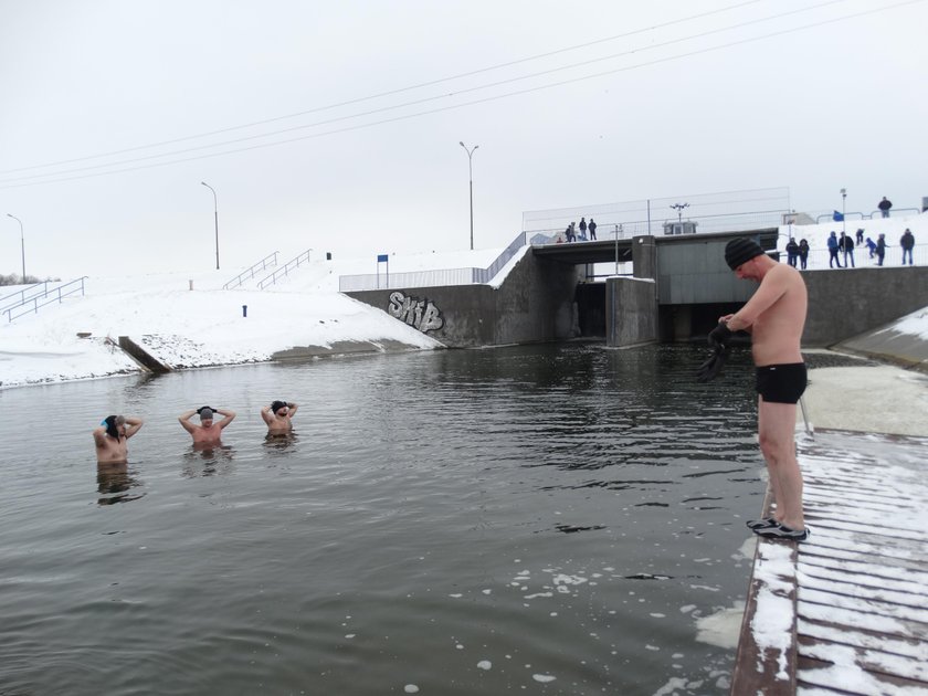 Kąpiel morsów w Zalewie Zemborzyckim