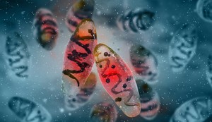 Kugu izaziva bakterija Yersinia pestis
