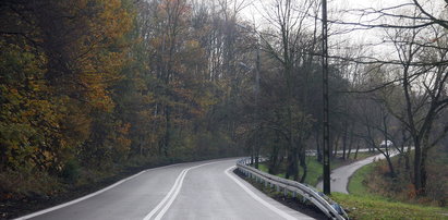 Będą nowe trasy szybkiego ruchu -  Zwierzyniecka i Pychowicka