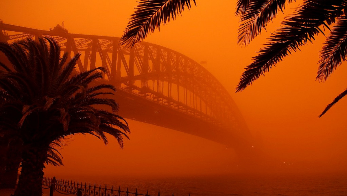 Państwowe Służby Meteorologiczne Wielkiej Brytanii (The Met Office) zapowiadają, że w okolicach Halloween i Dnia Wszystkich Świętych w Wielkiej Brytanii może spaść "krwawy deszcz". Niezwykłe zjawisko jest związane z dotarciem nad Europę czerwonego pyłu znad Sahary.