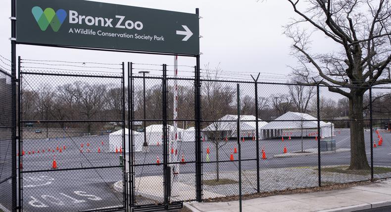 The Bronx Zoo Is Also Empty, but the Animals Don't Mind