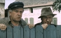 "Sami swoi" - polska komedia wszechczasów - ma już 50 lat