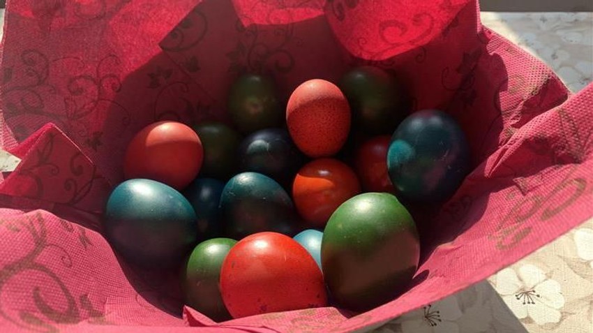 BBC | Foto: BBC/Milica Radenković Jeremić