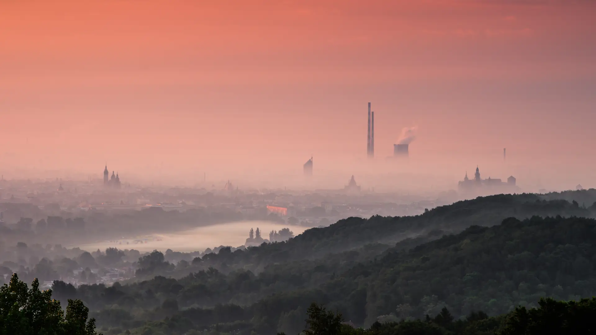 Czy istnieje alergia na smog? Stwierdzili to krakowscy naukowcy