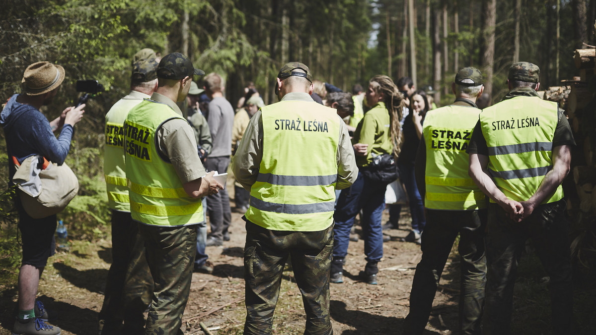 Lasy Państwowe uniemożliwiły naukowcom wizję lokalną w puszczy. Strażnicy leśni wyprosili ich z lasu. Wczoraj policja siłą przerwała protest ekologów, którzy blokowali ciężki sprzęt służący do wycinki drzew.