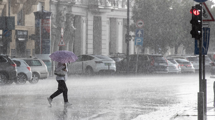 A gyümölcsösöket károsító számottevő fagyra nem kell számítani, és bőséges csapadékra van kilátás/ Fotó: Ringier-archív