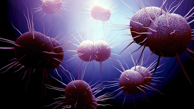 Postojanje soja koji je otporan na antibiotik znači da će biti teško lečiti ovu polnu bolest