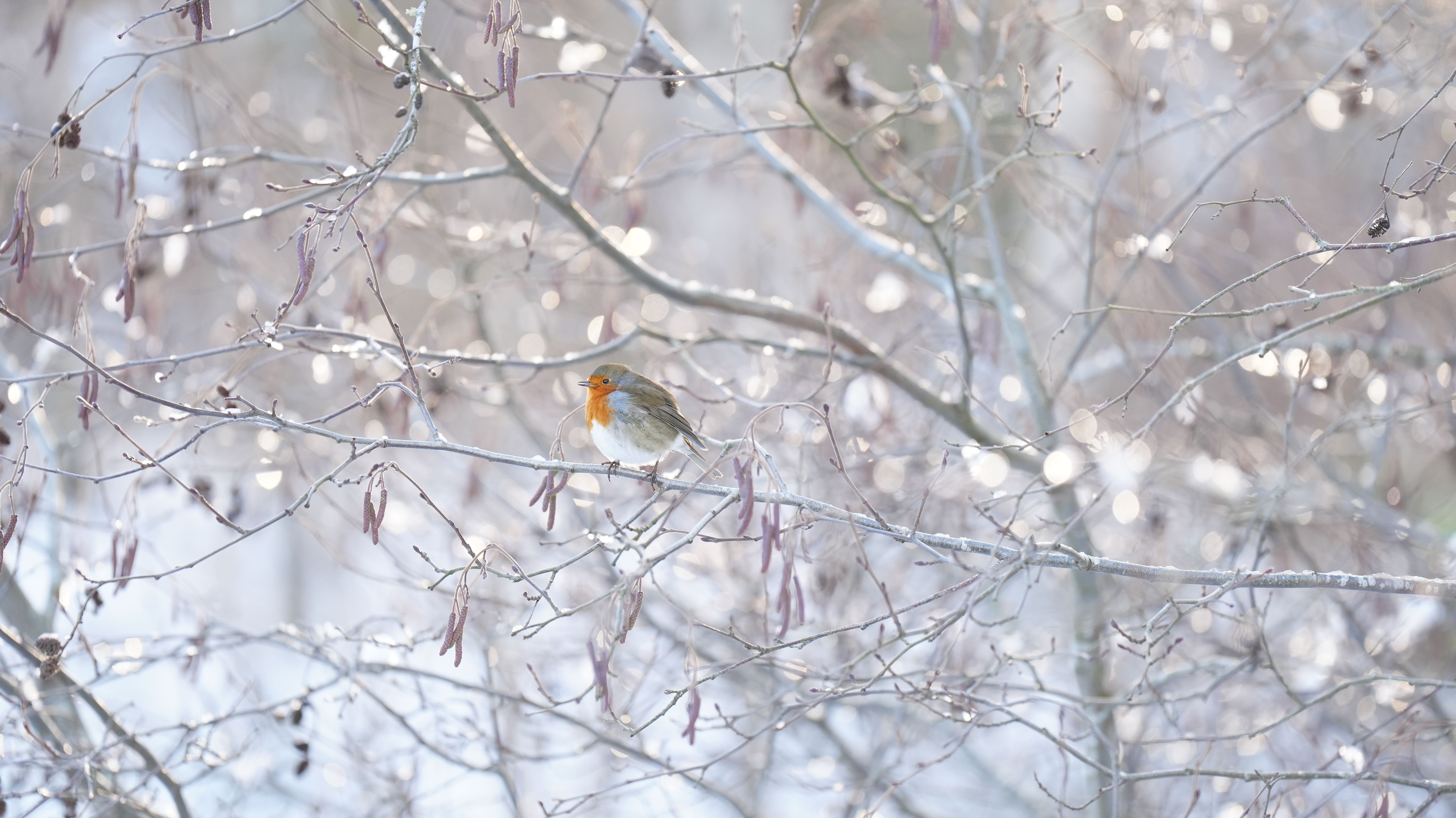 330 homes flooded but 24,000 protected as ice warning grips eastern regions