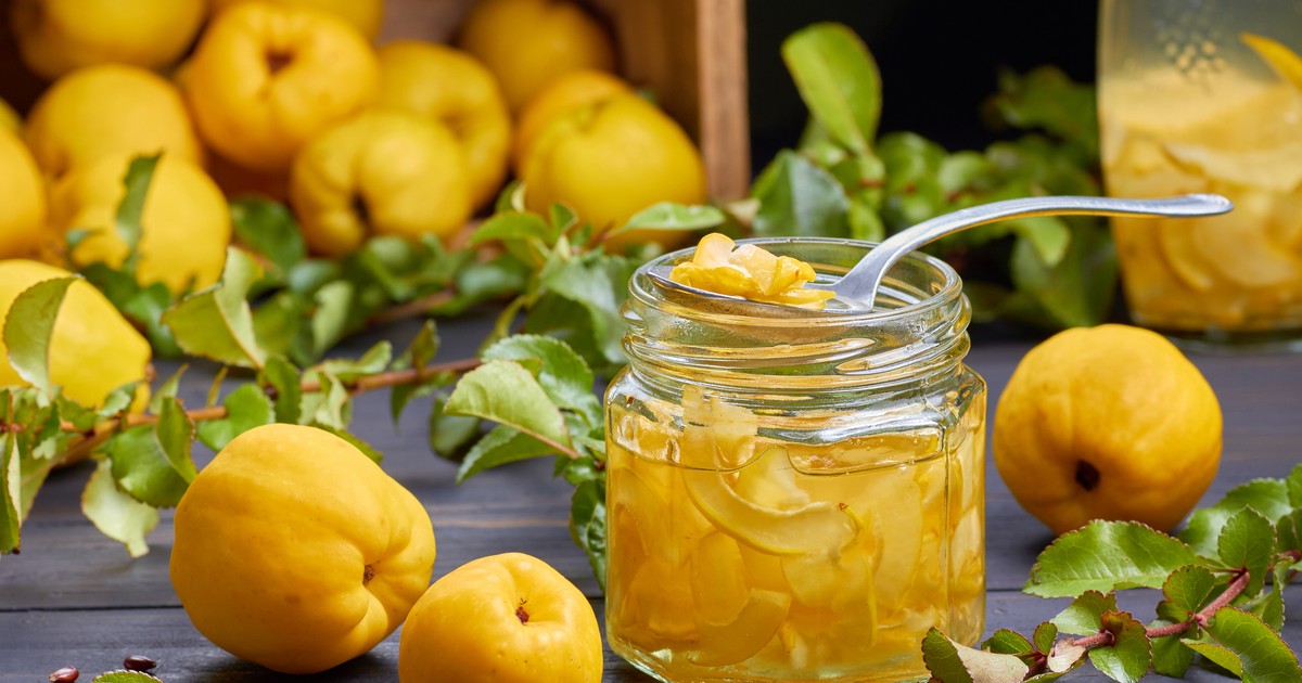 Magda Gessler o zaletach "polskiej cytryny". "Te owoce wydają się niejadalne"