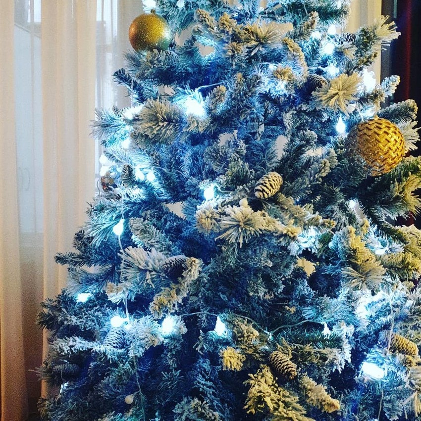 Objava Vesne Radusinović