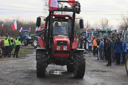 Kogo Polacy winią za protest rolników? Wyniki sondażu