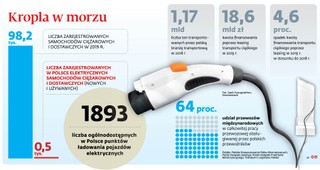 Firmy transportowe sporo zapłacą za bezemisyjność