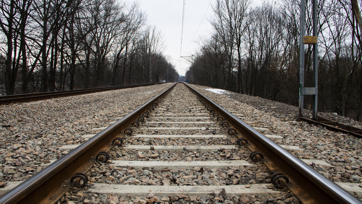 Nocna kradzież 240 metrów liny nośnej sieci trakcyjnej między stacjami Zabrze - Ruda Śląska Chebzie (Śląskie) spowodowała w sobotę całodniowe poważne utrudnienia w kursowaniu pociągów na uczęszczanej trasie Katowice - Gliwice. Wieczorem awarię usunięto.