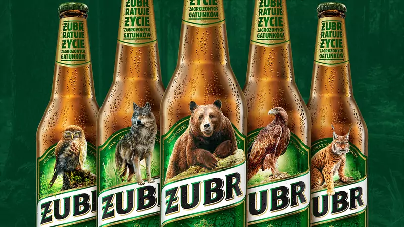Zagrożone gatunki zajęły miejsce żubra na etykietach piwa Żubr 