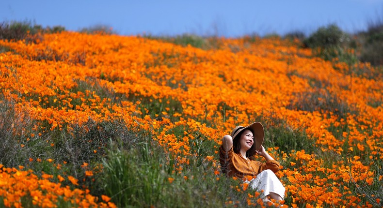 southern california orange poppy flowers superbloom lake elsinore walker canyon lucy nicholson 2019 03 18T203320Z_3_LYNXNPEF2H1TF_RTROPTP_4_CALIFORNIA POPPIES.JPG