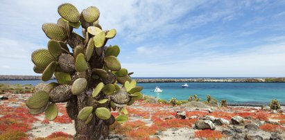 Wyspy Galapagos - słońce świeci tam przez cały rok