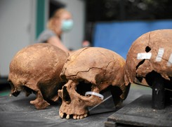 'Identyfikacja ofiar z Powązek może trwać latami'. Genetyk wyjaśnia