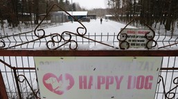 schronisko w sobolewie zamknięte: „nie będzie taryfy ulgowej”