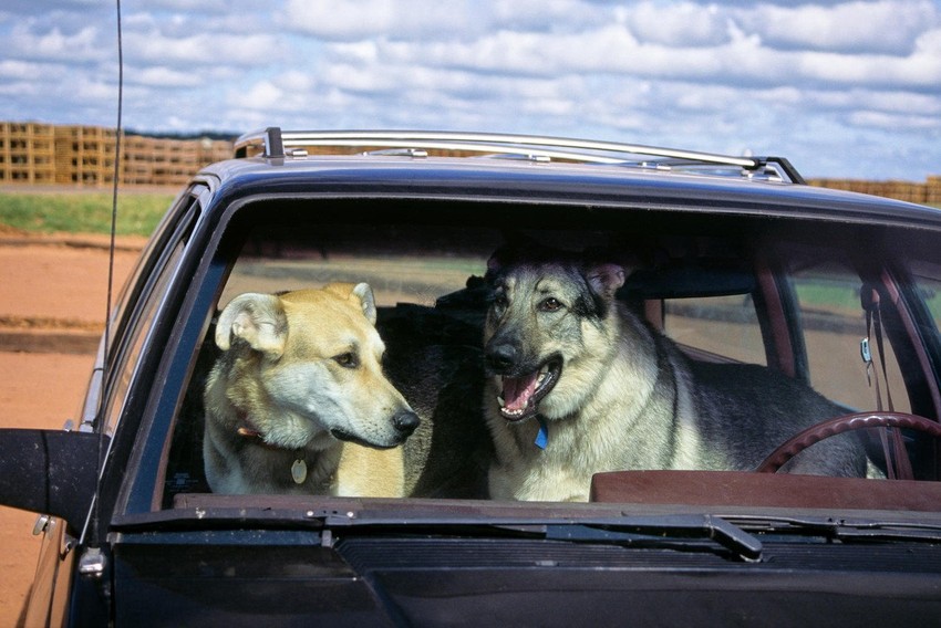 Nekoliko minuta može da znači mnogo