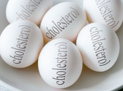 Czym jest cholesterol?