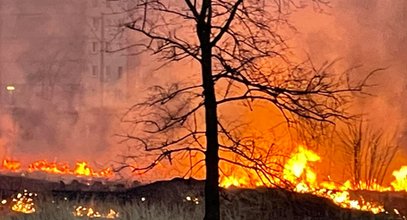 Ludzie robią to w Polsce na potęgę, a jest surowo zabronione. Kilka osób poszkodowanych jednego dnia