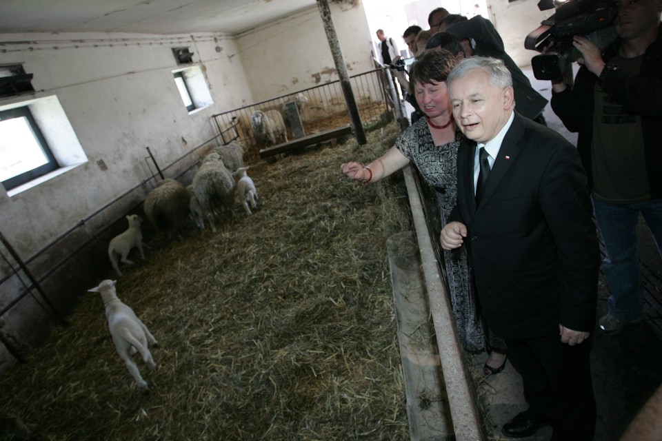 KUBALIN KAMPANIA PREZYDENCKA PIS KACZYŃSKI