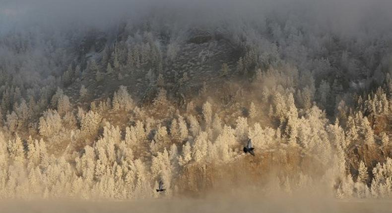 Fifteen people killed in helicopter crash in Siberia