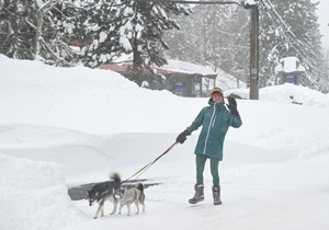 Žena šeta pored jezera zimi - ilustracija