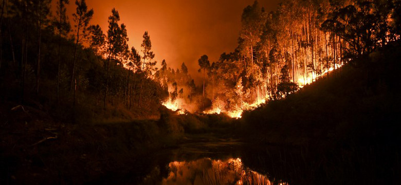 Onet24: środkowa Portugalia w ogniu