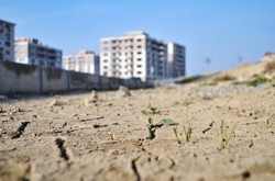 Coraz częstsze susze. Na Ziemi będzie ubywać wody. PONURE PROGNOZY naukowców
