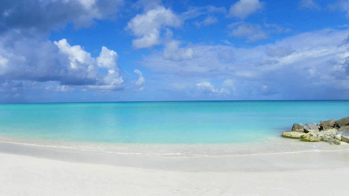Piękna karaibska wyspa praktycznie nietknięta przez turystykę? Ona naprawdę istnieje! Nazywa się Barbuda, a jeżeli nie potrzebujecie rozrywek ani specjalnych udogodnień, będzie dla was idealna.