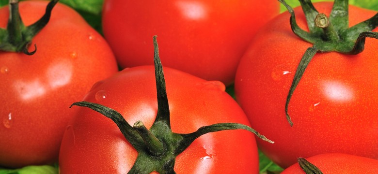 CBA: Producent pomidorów mógł wyłudzić nawet 30 mln zł