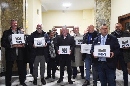 Nepunih dva meseca nakon decembarskih izbora došlo je do raskola u Nestorovićevom prvom pokretu "Mi, glas naroda"