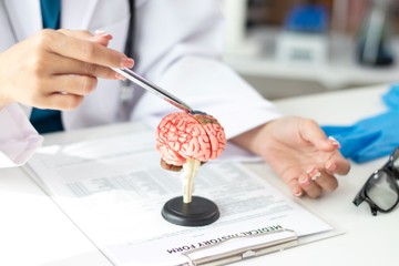 Az Alzheimer-kór rejtélyesebb, mint eddig hittük – új kutatás tárta fel a háttérben zajló folyamatokat