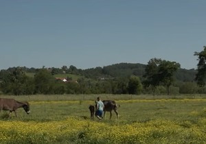 Farma magaraca