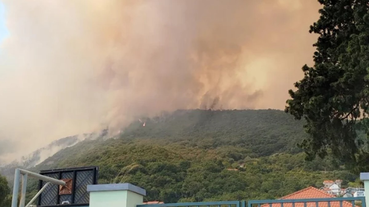 Požar u Bokokotorskom zalivuu