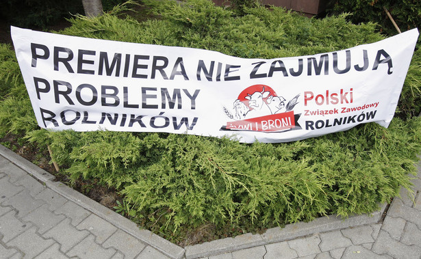 Protest rolników w Białymstoku. Domagają się pomocy od rządu w związku z afrykańskim pomorem świń