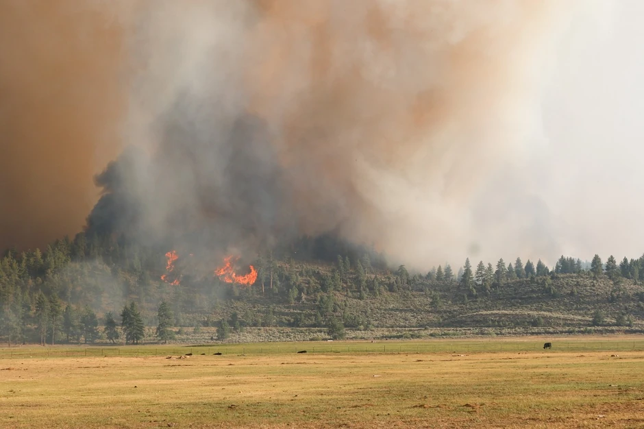 Požar Tamarak na zapadu SAD