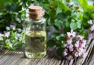 Origano se od davnina koristi u tradicionalnoj medicini za lečenje astme, kašlja i bronhitisa. 