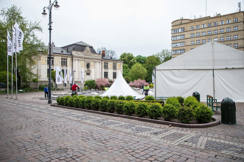 Szczury buszują po centrum Krakowa