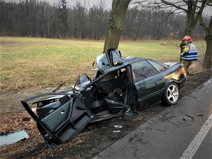 Auto owinęło się wokół drzewo. Jak on to przeżył? 