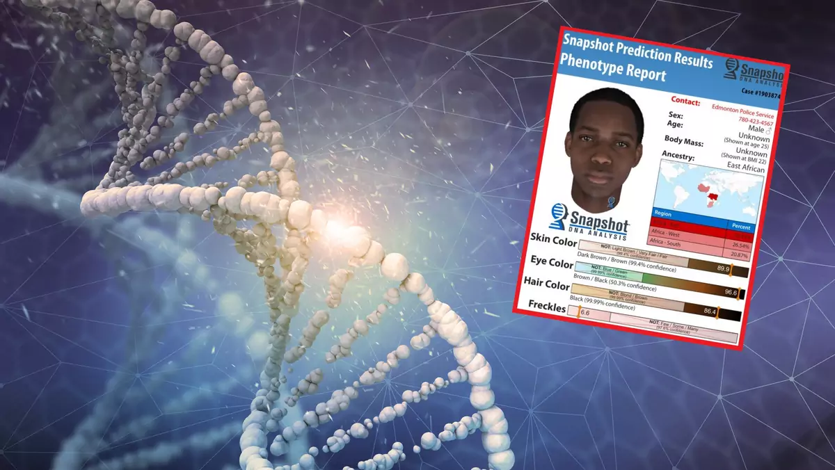 Profilowanie DNA