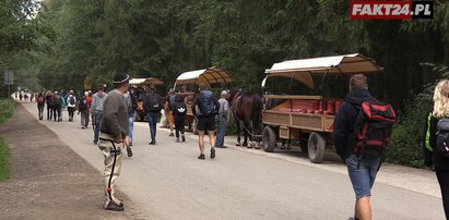 Co sądzą turyści o transporcie końmi nad Morskie Oko?