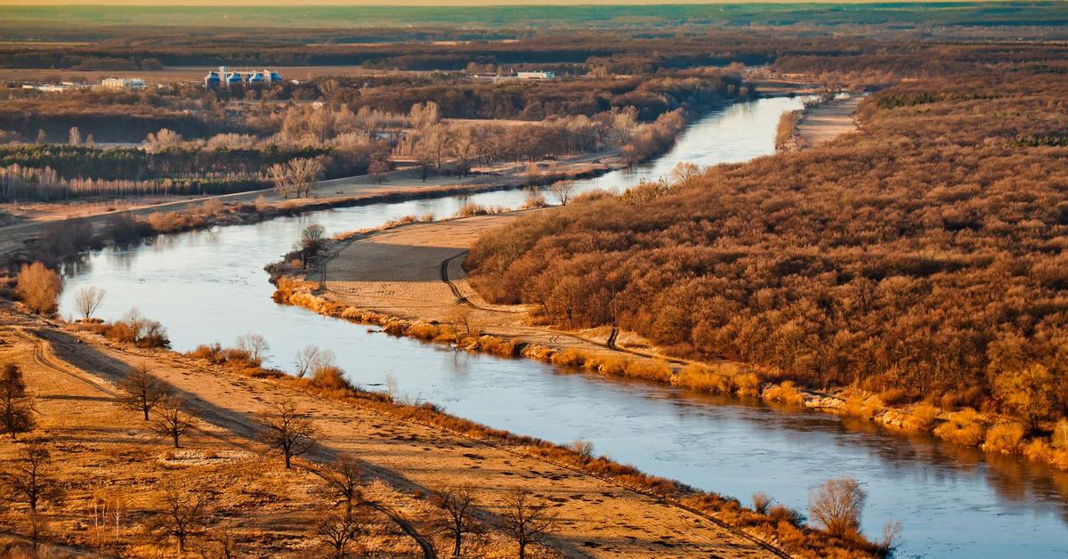  Złota alga znów zagraża życiu w Odrze. MKiŚ wydało ostrzeżenie