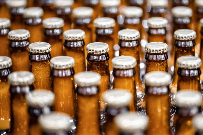 Pivo