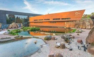 Rusza konkurs „Piękny Wrocław. Możesz wziąć udział!