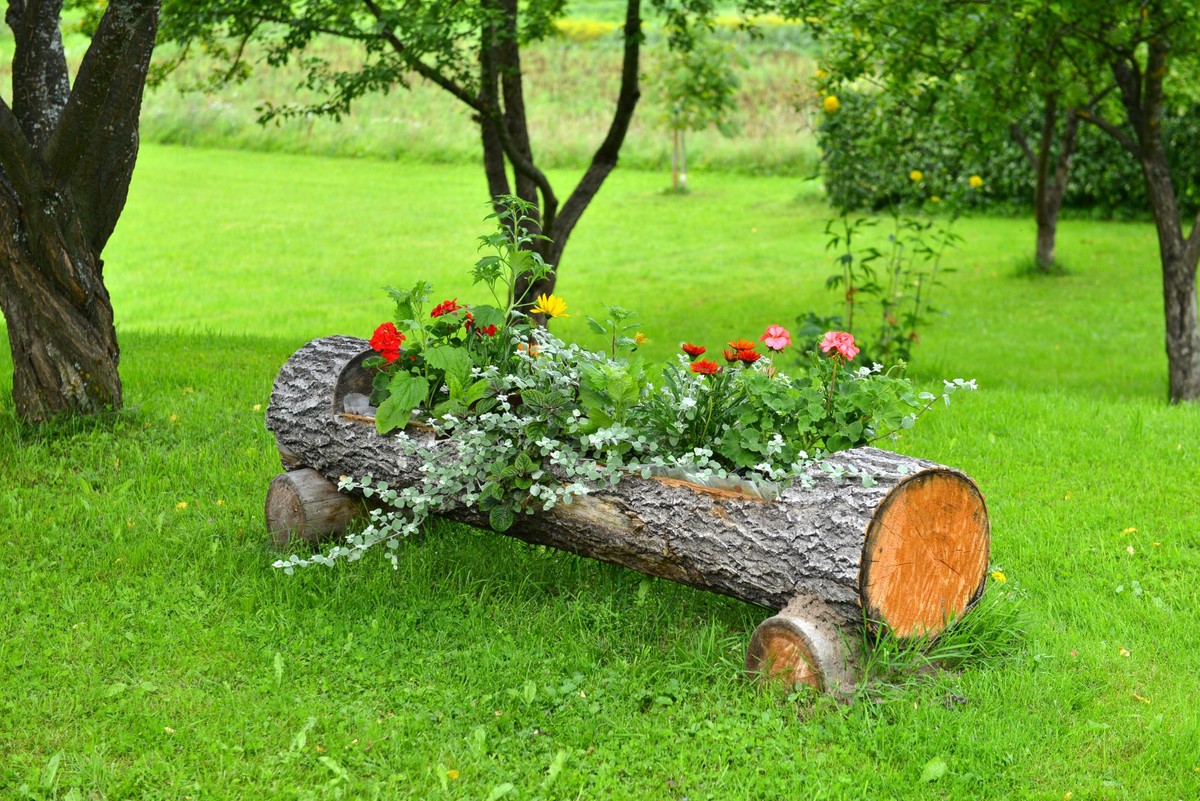 Donica z pnia drzewa - trend 2026