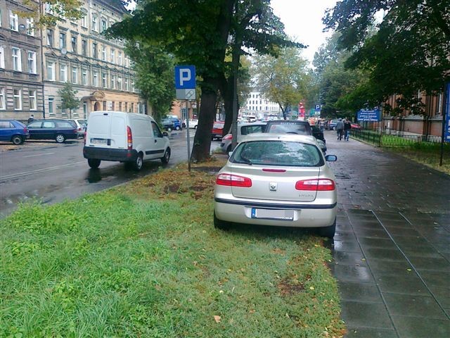 Szczecin. Niszczenie zieleni, parkowanie na trawniku