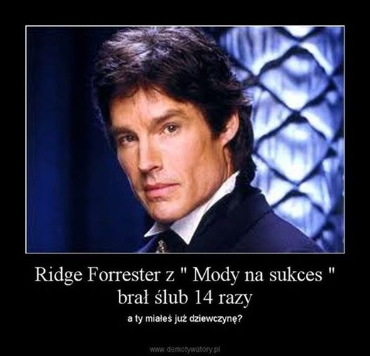 mem o 'Modzie na sukces'