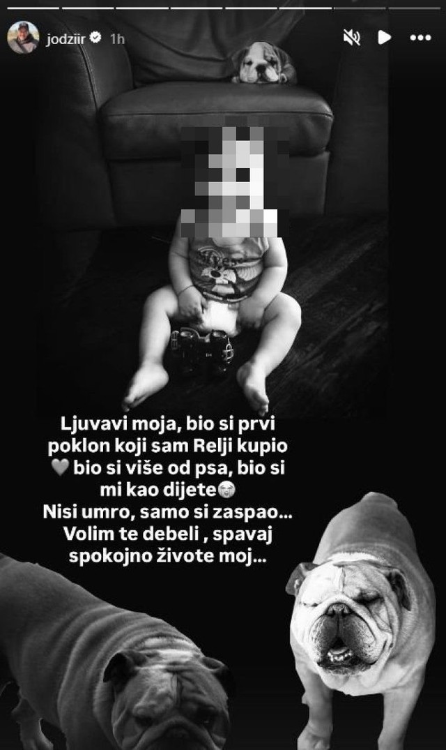 Jodžir (Foto: Instagram)